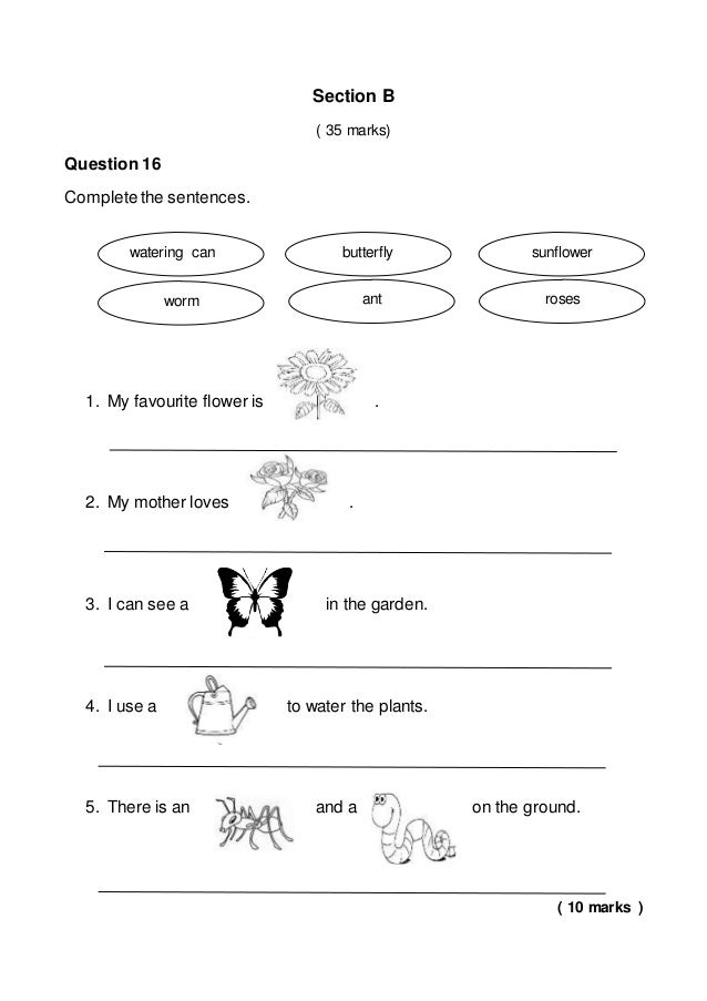 year 1 english test 2017