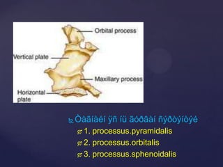 Biye daalt #8 | PPTX