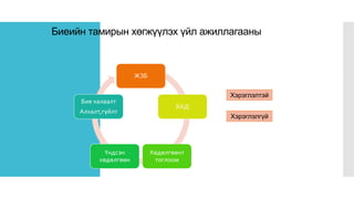 Биеийн тамирын хөгжүүлэх үйл ажиллагааны бүтэц
ЖЗБ
БХД
Хөдөлгөөнт
тоглоом
Үндсэн
хөдөлгөөн
Бие халаалт
Алхалт,гүйлт
Хэрэглэлтэй
Хэрэглэлгүй
 