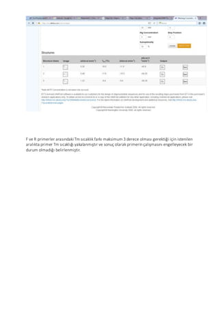 F ve R primerler arasındaki Tm sıcaklık farkı maksimum 3 derece olması gerektiği için istenilen
aralıkta primer Tm sıcaklığı yakalanmıştır ve sonuç olarak primerin çalışmasını engelleyecek bir
durum olmadığı belirlenmiştir.
 