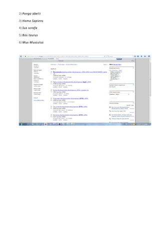 2) Pongo abelii
3) Homo Sapiens
4) Sus scrofa
5) Bos taurus
6) Mus Musculus
 
