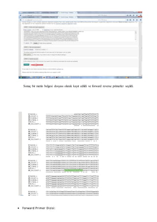 Sonuç bir metin belgesi dosyası olarak kayıt edildi ve forward reverse primerler seçildi.
 Forward Primer Dizisi:
 