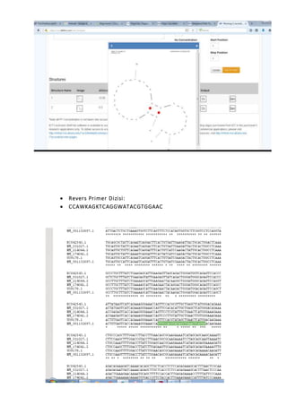  Revers Primer Dizisi:
 CCAWKAGKTCAGGWATACGTGGAAC
 