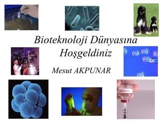 Bioteknoloji Dünyasına
Hoşgeldiniz
Mesut AKPUNAR
 