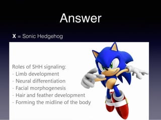 Answer
X = Sonic Hedgehog
 