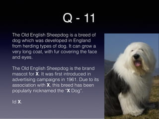 Q - 11
The Old English Sheepdog is a breed of
dog which was developed in England
from herding types of dog. It can grow a
very long coat, with fur covering the face
and eyes.
The Old English Sheepdog is the brand
mascot for X. It was first introduced in
advertising campaigns in 1961. Due to its
association with X, this breed has been
popularly nicknamed the “X Dog”.
Id X.
 
