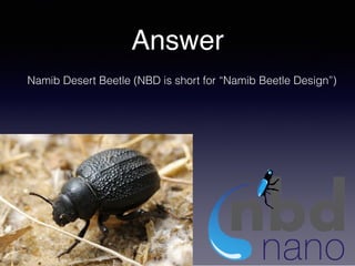Answer
Namib Desert Beetle (NBD is short for “Namib Beetle Design”)
 