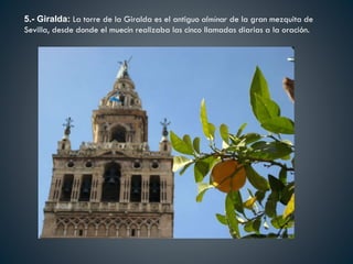 5.- Giralda: La torre de la Giralda es el antiguo alminar de la gran mezquita de
Sevilla, desde donde el muecín realizaba las cinco llamadas diarias a la oración.
 
