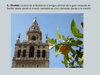 5.- Giralda: La torre de la Giralda es el antiguo alminar de la gran mezquita de
Sevilla, desde donde el muecín realizaba las cinco llamadas diarias a la oración.
 