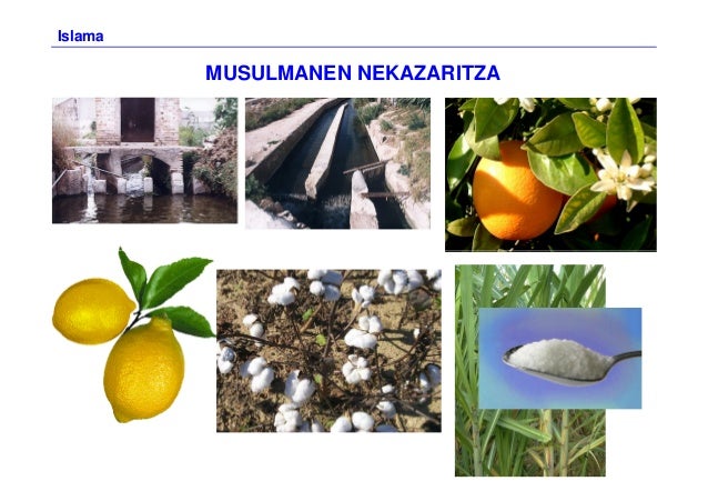 MUSULMANEN NEKAZARITZA
Islama