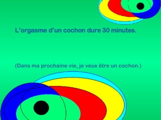 L’orgasme d’un cochon dure 30 minutes. (Dans ma prochaine vie, je veux être un cochon.) 
