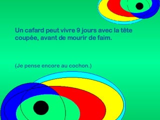 Un cafard peut vivre 9 jours avec la tête coupée, avant de mourir de faim. (Je pense encore au cochon.) 