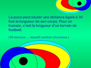 La puce peut sauter une distance égale à 30 fois la longueur de son corps. Pour un humain, c’est la longueur d’un terrain de football.  (30 minutes … maudit cochon chanceux.) 