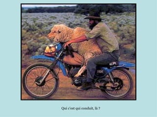 Qui c’est qui conduit, là ?
 