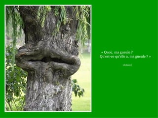 « Quoi, ma gueule ?
Qu’est-ce qu’elle a, ma gueule ? »

               (Johnny)
 