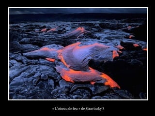 « L’oiseau de feu » de Stravinsky ?
 