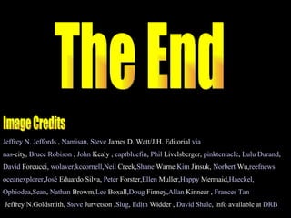 Image Credits  Jeffrey N. Jeffords  ,  Namisan ,  Steve  James D. Watt/J.H. Editorial  via nas -city ,  Bruce Robison  ,  John  Kealy  ,  captbluefin ,  Phil  Livelsberger ,  pinktentacle ,  Lulu Durand ,  David  Forcucci ,  wolaver , kccornell , Neil   Creek , Shane   Warne , Kim   Jinsuk ,  Norbert  Wu , reefnews   oceanexplorer , José  Eduardo Silva ,  Peter  Forster , Ellen   Muller , Happy   Mermaid , Haeckel ,  Ophiodea , Sean ,  Nathan  Browm , Lee   Boxall , Doug   Finney , Allan   Kinnear  ,  Frances Tan Jeffrey N.Goldsmith,  Steve  Jurvetson  , Slug ,  Edith  Widder  ,  David Shale , info available at  DRB The End 