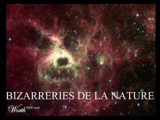 BIZARRERIES DE LA NATURE 