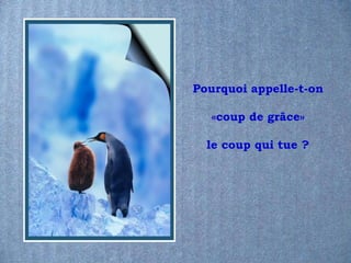 Pourquoi appelle-t-on

   «coup de grâce»

  le coup qui tue ?
 