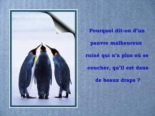 Pourquoi dit-on d’un

 pauvre malheureux

ruiné qui n’a plus où se

coucher, qu’il est dans

   de beaux draps ?
 