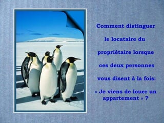 Comment distinguer

   le locataire du

propriétaire lorsque

 ces deux personnes

vous disent à la fois:

« Je viens de louer un
   appartement » ?
 