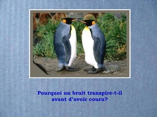 Pourquoi un bruit transpire-t-il
    avant d’avoir couru?
 