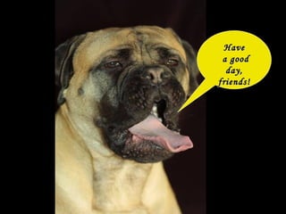 Have a good  day, friends! 