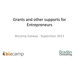 Grants and other supports for Entrepreneurs Bizcamp Galway - September 2011 