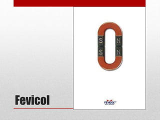 Fevicol
 