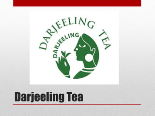 Darjeeling Tea
 