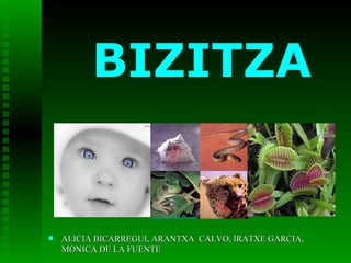 BIZITZA ,[object Object]