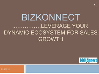 BIZKONNECT
……………LEVERAGE YOUR
DYNAMIC ECOSYSTEM FOR SALES
GROWTH
1
6/19/2018
 