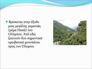 Βρίσκεται στην έξοδο

μιας μεγάλης ρεματιάς
(ρέμα Παπά) του
Ολύμπου. Από εδώ
ξεκινούν δυο σημαντικά
ορειβατικά μονοπάτια
προς τον Όλυμπο.

 
