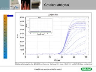 Fast qPCR assay optimization and validation techniques for HTS | PDF