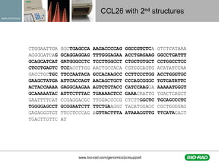 Fast qPCR assay optimization and validation techniques for HTS | PDF