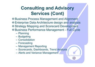 Biz Performance Overview