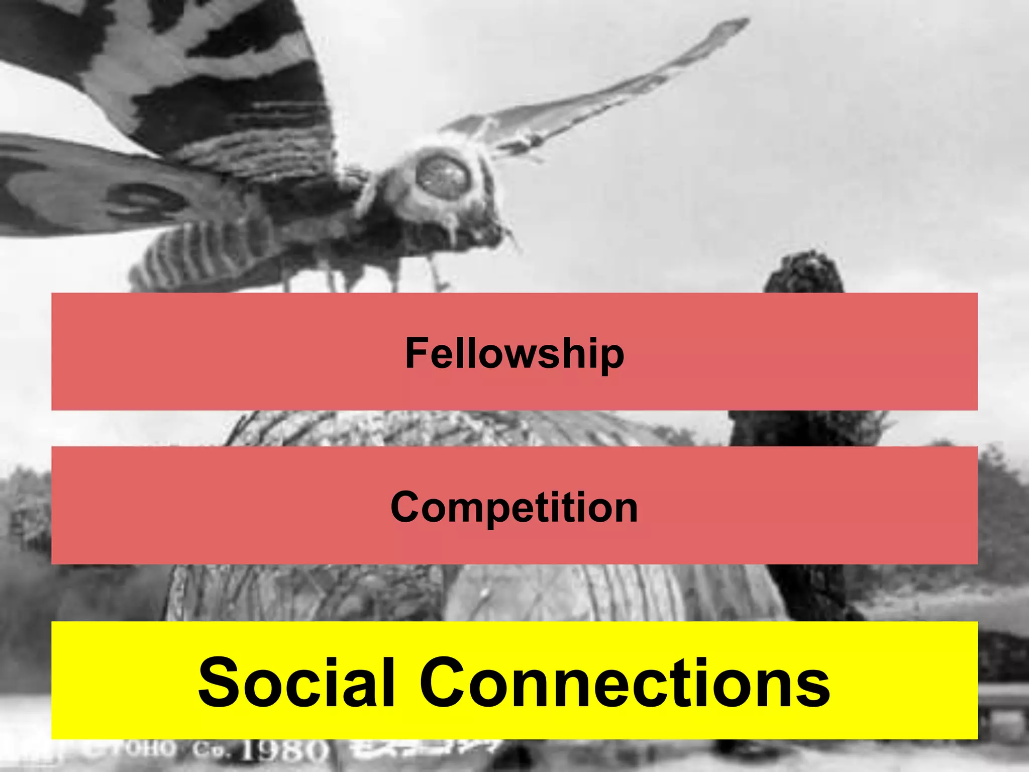 Fellowship 
Competition 
Social Connections 
 