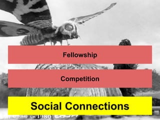 Fellowship 
Competition 
Social Connections 
 
