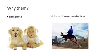 Why them? 
• Like animal • Like explore unusual animal 
 