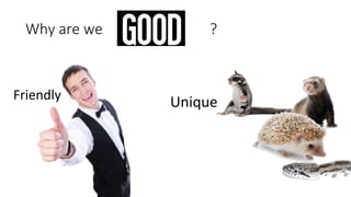 Why are we ? 
Friendly Unique 
 