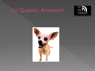 YoQuiero, Answers!