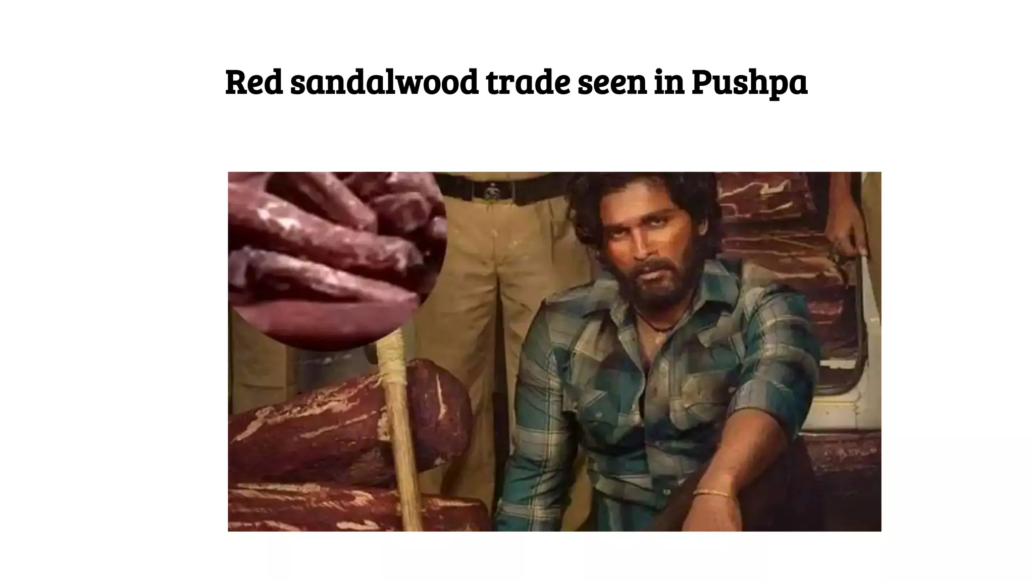Red sandalwood trade seen in Pushpa
 