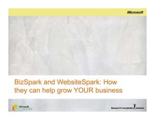 BizSpark and WebsiteSpark: How
                    v
they can help grow YOUR business
 