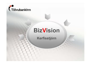 BizVision Kerfisstjórn