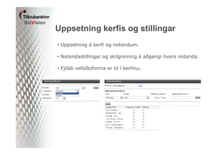 BizVision Kerfisstjórn