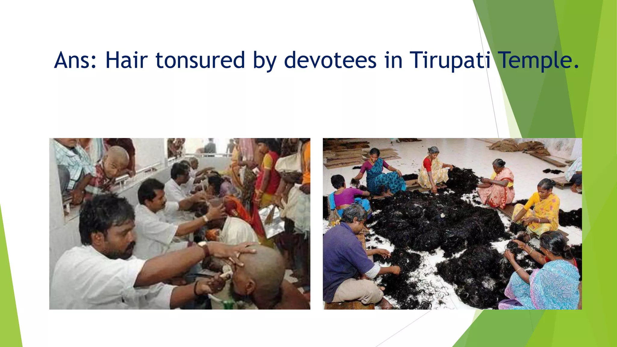 Ans: Hair tonsured by devotees in Tirupati Temple.
 