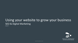 Using your website to grow your business
SEO & Digital Marketing
4/21/17
www.bizzebees.com
 