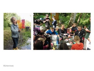 Mühlenriede
 