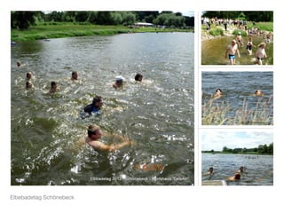 Elbebadetag Schönebeck
 