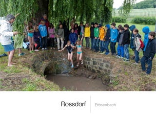 Rossdorf   Erbsenbach
 